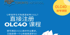 OLC4O_Literacy_Course