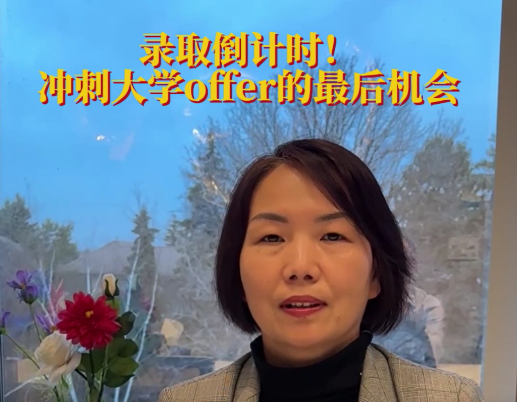 high-marks-university-offer2026